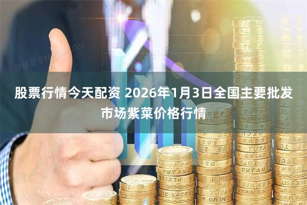 股票行情今天配资 2026年1月3日全国主要批发市场紫菜价格行情